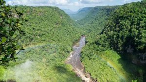28Guyana-shutterstock_356244359